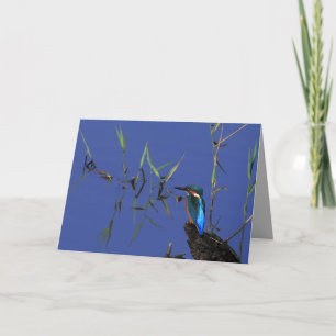 Stillstehende Eisvogel-Karte Karte