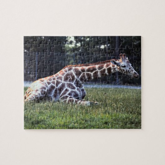Stillstehende Giraffe Puzzle (Horizontal)