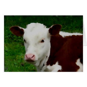 Stillstehende Kalb-Karte