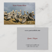 Stillstehende Pelikane Visitenkarte (Vorne/Hinten)