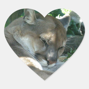 Stillstehende Puma-Aufkleber Herz-Aufkleber