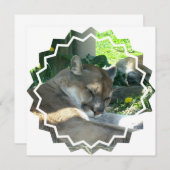 Stillstehende Puma-Einladung Einladung (Vorne/Hinten)