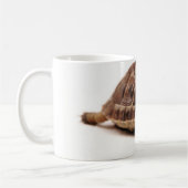 Stillstehende Schildkröte Kaffeetasse (Links)