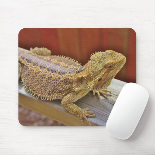 Stillstehender bärtiger Drache 2 Mousepad (Mit Mouse)