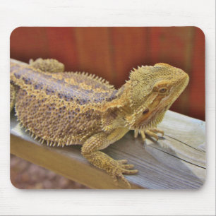 Stillstehender bärtiger Drache 2 Mousepad