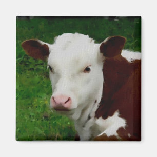 Stillstehender Kalb-Magnet Magnet