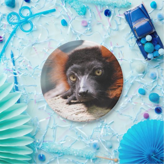 Stillstehender Rot getrumpfter Lemur Pappteller (Party)