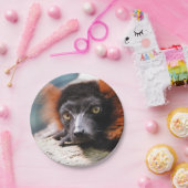 Stillstehender Rot getrumpfter Lemur Pappteller (Party)