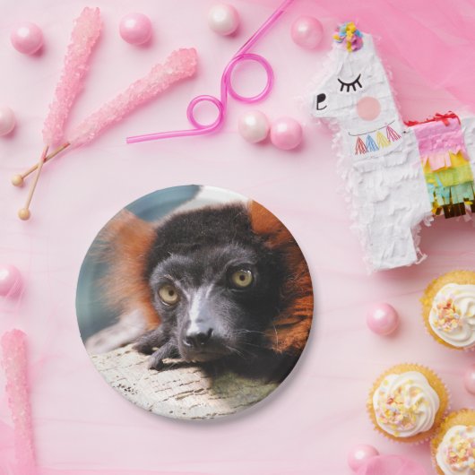 Stillstehender Rot getrumpfter Lemur Pappteller (Party)