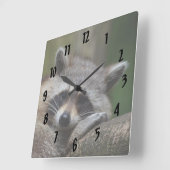 Stillstehender Waschbär Quadratische Wanduhr (Winkel)