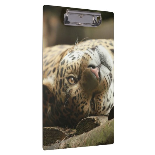 Stillstehendes Jaguar Klemmbrett (Rechts)