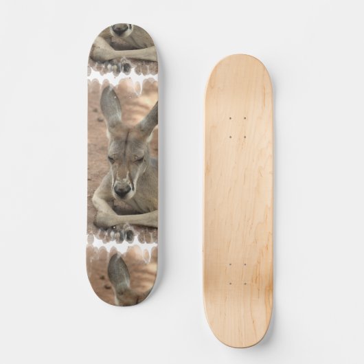 Stillstehendes Känguru-Skateboard Skateboard (Vorderseite)