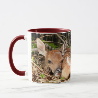 STILLSTEHENDES KITZ TASSE