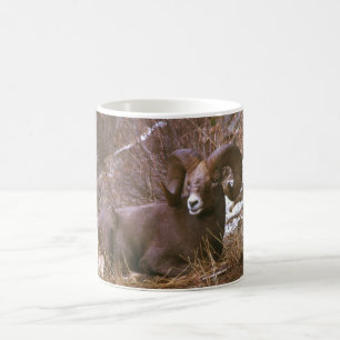 Stillstehendes RAM Kaffeetasse