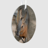 stillstehendes Tiertier des patagonian Cavy Ornament (Vorderseite)