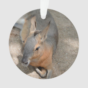 stillstehendes Tiertier des patagonian Cavy Ornament