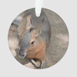 stillstehendes Tiertier des patagonian Cavy Ornament