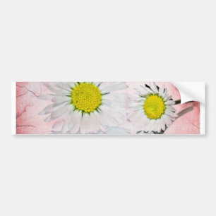 Stilsame Mod Überraschung Whimsical Elegante Besti Autoaufkleber