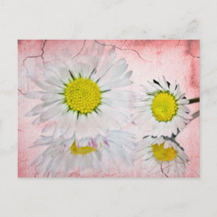 Stilsichere Mod Überraschung Whimsical Elegante Be Postkarte
