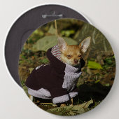 Stilvoll gekleidet Chihuahua Puppy Button (Vorne & Hinten)