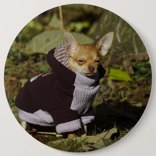 Stilvoll gekleidet Chihuahua Puppy Button (Vorderseite)