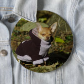 Stilvoll gekleidet Chihuahua Puppy Button (Beispiel)