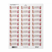 Stilvoll Girly Pink White Gold Zebra (Vorne)