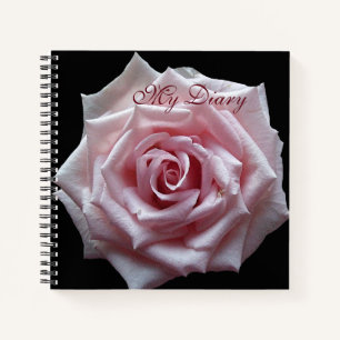 Stilvoll hübsch rosa Rosa Blume Schwarz trendiger Notizblock