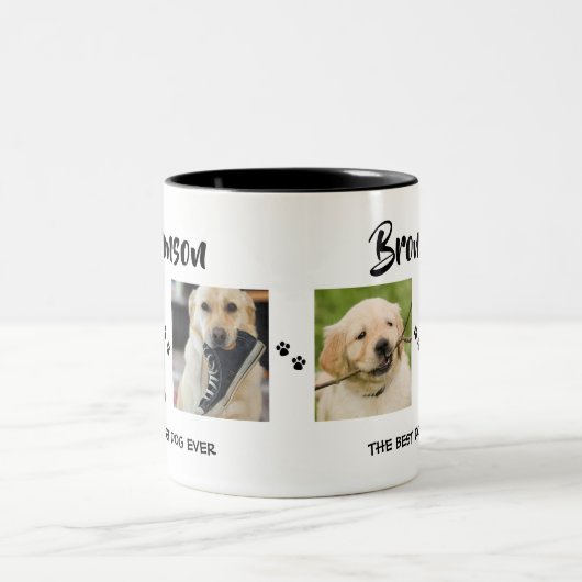 Stilvoll | Hund | 4 FotoCollage Zweifarbige Tasse (Mittel)