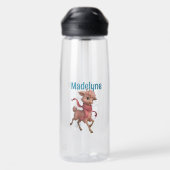 Stilvoll rosa Llamas Trinkflasche (Rückseite)