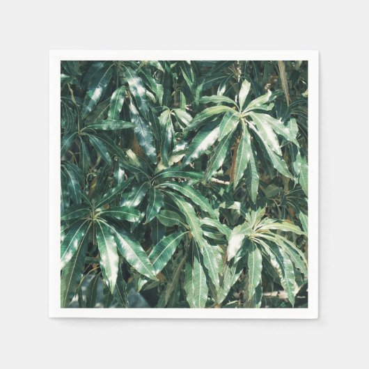 Stilvolle blassgrüne Mango-Blätter Papier Napkin Serviette (Vorderseite)