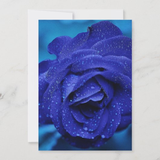 Stilvolle Blue Rose Wedding Save the Date (Rückseite)