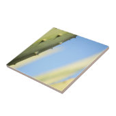 Stilvolle Green Aloe Blue Sky Espresso Fliese (Seite)