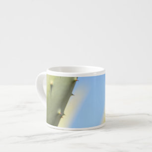 Stilvolle grüne Aloe Blaue Himmel Espresso-Kaffeet Espressotasse