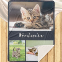Stilvolle Hauskatze 3 FotoCollage