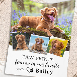 Stilvolle Hunde-Gedenkgutscheine Pet Loss 4 Foto C Fleecedecke