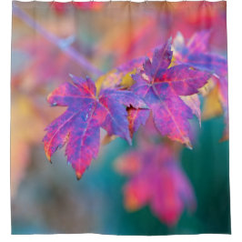 Stilvolle japanische Ahorn-Blätter Duschvorhang