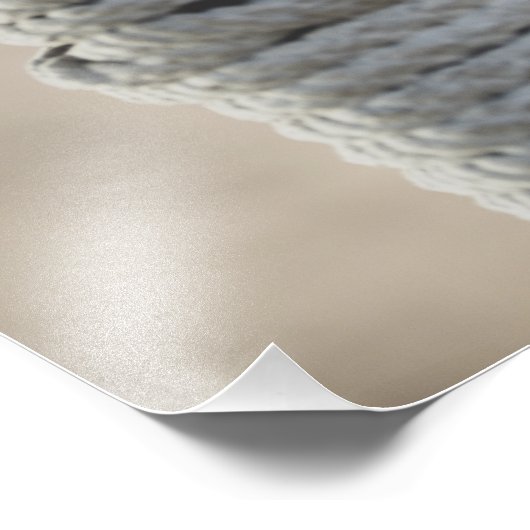 Stilvolle junge Frau in Schwarz-Off-Shoulder Top Fotodruck (Ecke)