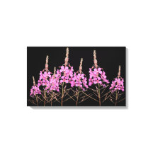 Stilvolle Kunstwerke lila Rosa Wild Feuer floralen