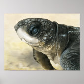 Stilvolle Lederschildkröte Poster (Vorne)