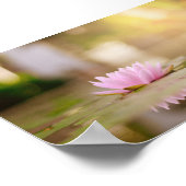 Stilvolle Lotus Blume Landschaft, Zen Poster (Ecke)