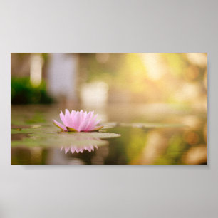 Stilvolle Lotusblumenlandschaft, Zen Poster