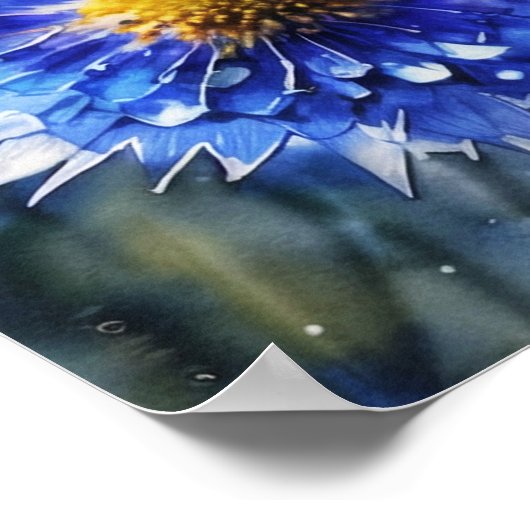 Stilvolle Maisblumen, wilde Blume Poster (Ecke)