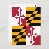 Stilvolle Maryland State Flag Dekoration Postkarte (Vorne/Hinten)