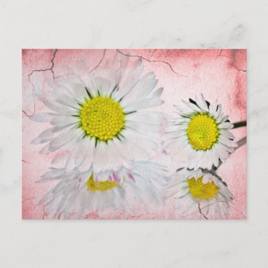 Stilvolle Mod Überraschung Whimsical Classy Destin Postkarte (Vorderseite)