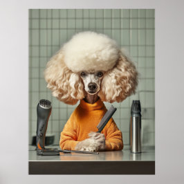 Stilvolle Poodle Grooming Session Poster
