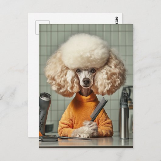 Stilvolle Poodle Grooming Session Postkarte (Vorne/Hinten)