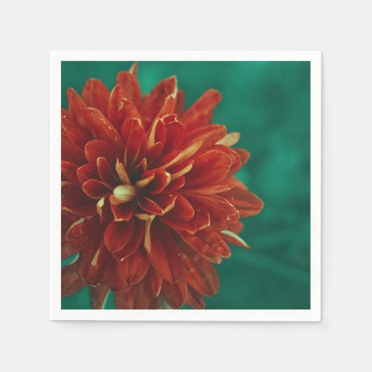 Stilvolle Red Chrysanthemum Blume Paper Napkin Serviette (Vorderseite)