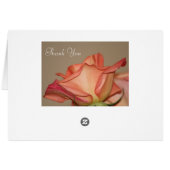 Stilvolle Rose Peach (Rückseite Horizontal)