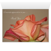 Stilvolle Rose Peach (Innenansicht Horizontal (Unten))